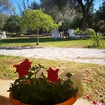 Oli Terra Διαμέρισμα *