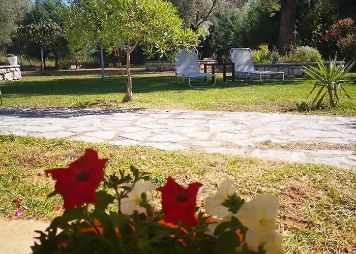 Oli Terra Apartamento *